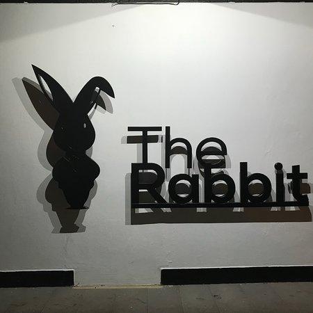 The Rabbit Alanya